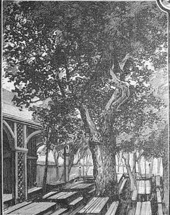 Zum Biersack um 1890 Gartenlaube 1897 